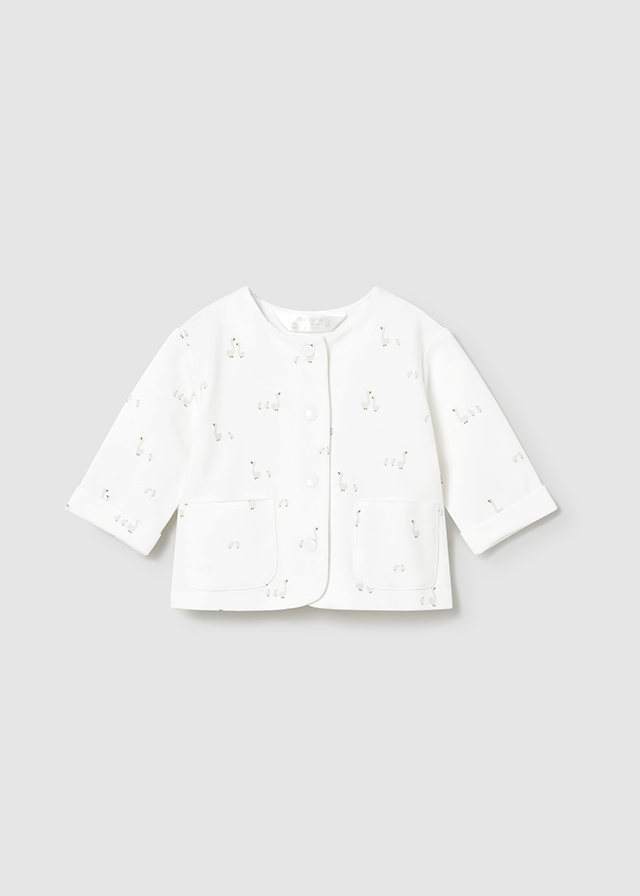 Біваджі - інтеренет магазин